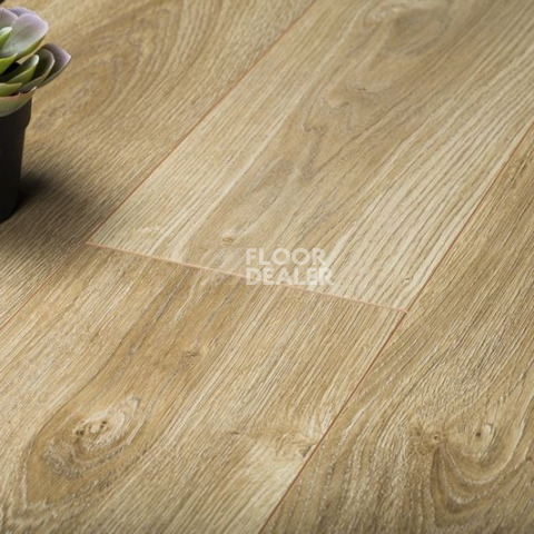 Kronopol Aurum Symfonia Aqua Zero d4531 Дуб Соната фото 2 | FLOORDEALER